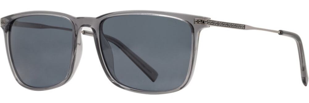 NEW INVU Polarized Sunwear 265 Sunglasses